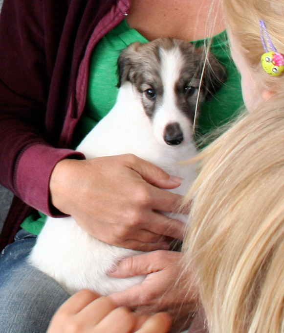 Surf Spots - Girl 2 Party